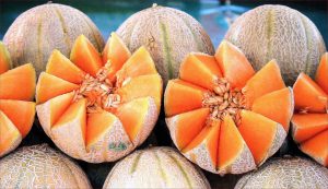 cantaloupe, muskmelon, difference between, mary beth clark