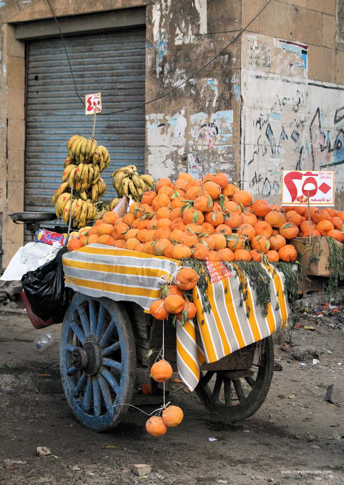 Travel - Africa - Egypt - Cairo - Oranges and Bananas